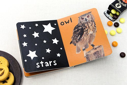 http://www.ehonnavi.net/shopping/item.asp?c=9780312504748